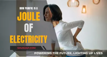 Understanding the Painful Shock of a Joule of Electricity