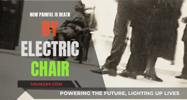 Electric Chair: A Painful Death in 8 Words