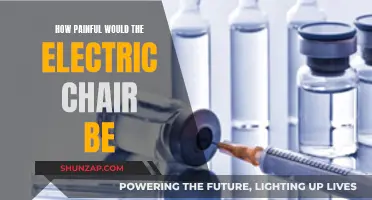 The Electric Chair: A Painful Execution Method?