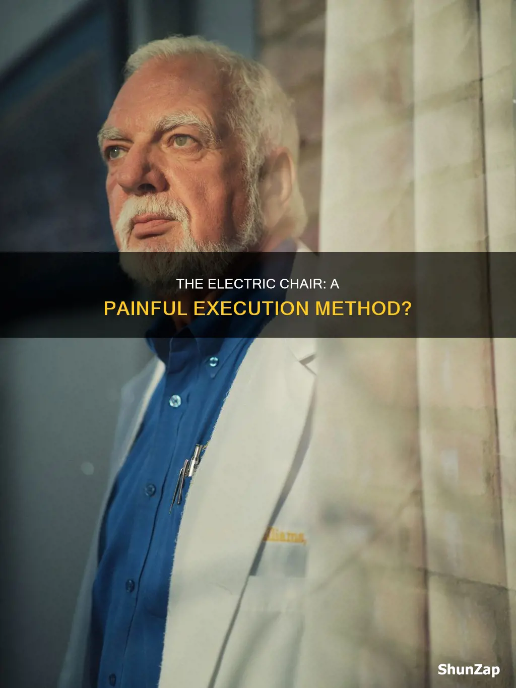 how painful would the electric chair be