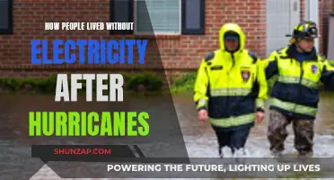 Life Without Power: Survival Stories Post-Hurricane