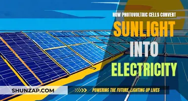 Photovoltaic Cells: Sunlight to Electricity Conversion Explained