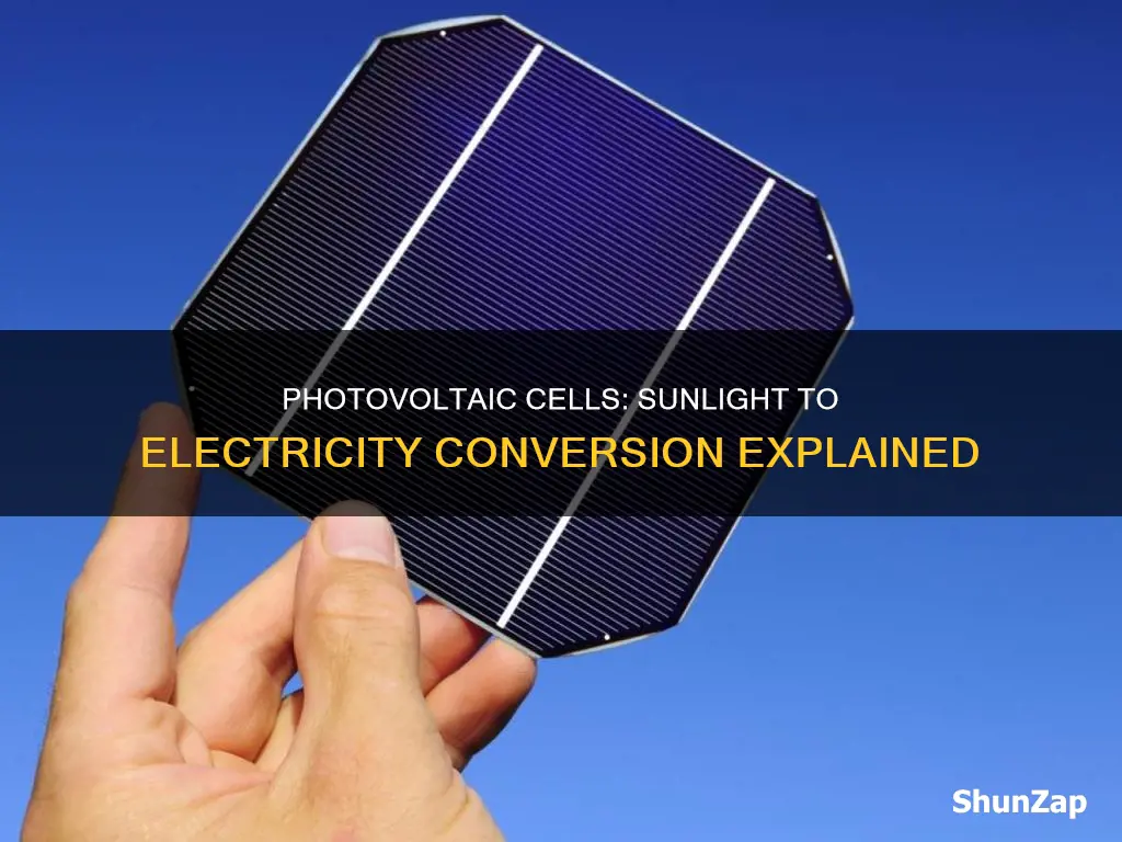 how photovoltaic cells convert sunlight into electricity