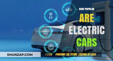 Electric Cars: Rising Popularity and Shaping the Future of Transportation