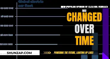 Electric Vehicles: Public Opinion Evolution and Revolution