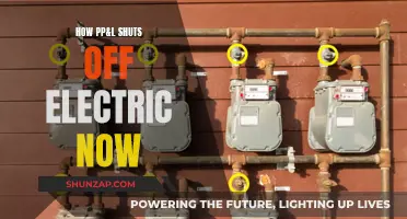 PPL's Power Shutoff: What You Need to Know