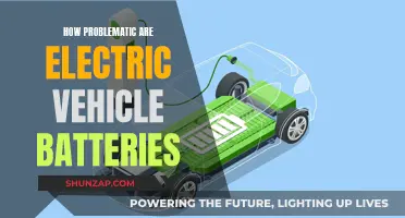 Electric Vehicle Batteries: More Harm Than Good?