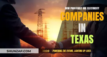 Electricity Companies in Texas: Profits and Performance