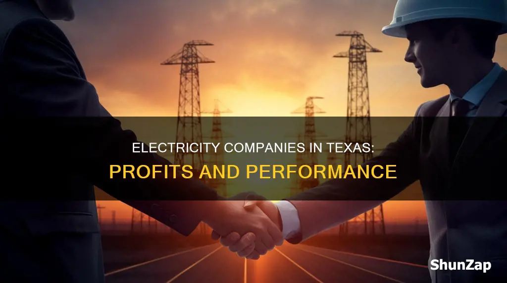 how profitable are electricity companies in texas
