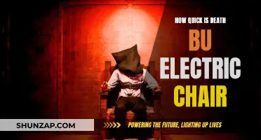 Electric Chair: Instant Death or Torture?