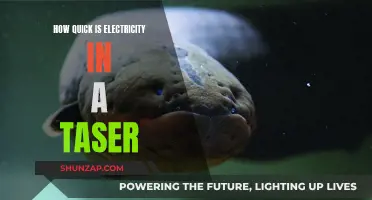 Electricity's Speed in a Taser: Instant Shock