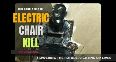 Electric Chair Execution: Instant Death or Slow Torture?