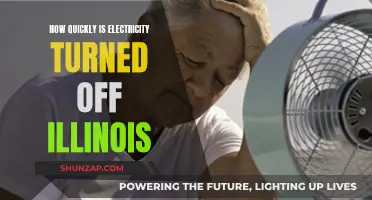 Illinois Electricity: Quick Disconnection or Not?