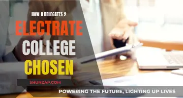 Who Picks Electors? The Electoral College Explained