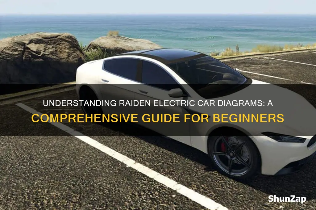 how raiden electric diagram in car