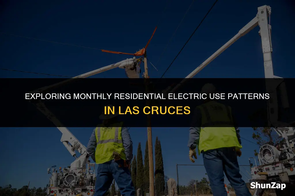 how residentail electric use from month to month las cruces