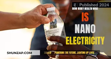 Nano Electricity: Health Risks and Hazards