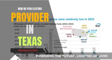 Electric Provider in Texas: How to Choose Wisely