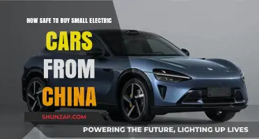 Are Chinese Small Electric Cars a Safe and Smart Purchase?