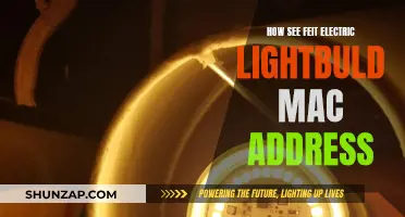 Finding the MAC Address on Feit Electric Lightbulbs