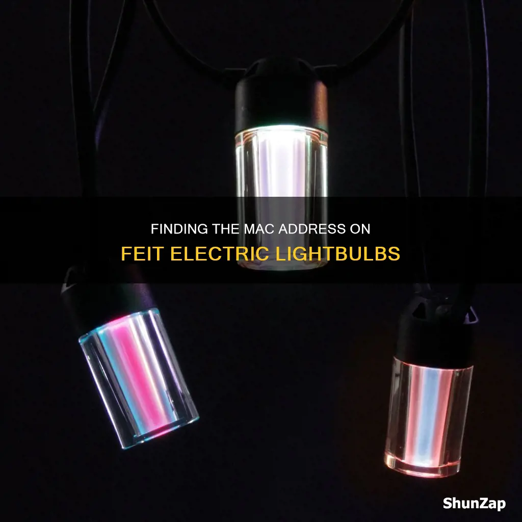 how see feit electric lightbuld mac address
