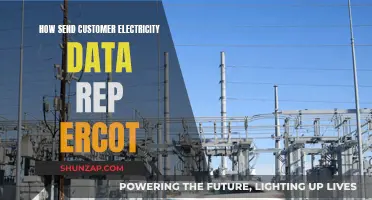 ERCOT Electricity Data: Sharing Customer Insights