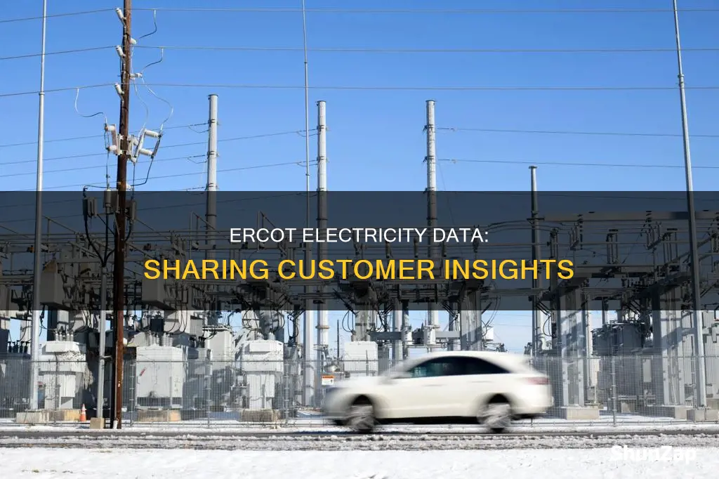 how send customer electricity data rep ercot