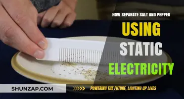 Leveraging Static Electricity: An Ingenious Method to Separate Salt and Pepper