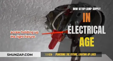 Setting Up Your LAMP Supply: A Beginner's Guide