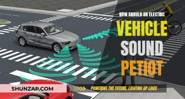 Electric Vehicles: Revolutionizing Sound Design for a Pet-Friendly Future