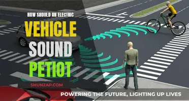 The Sound of Electric Vehicles: Designing a New Acoustic Experience