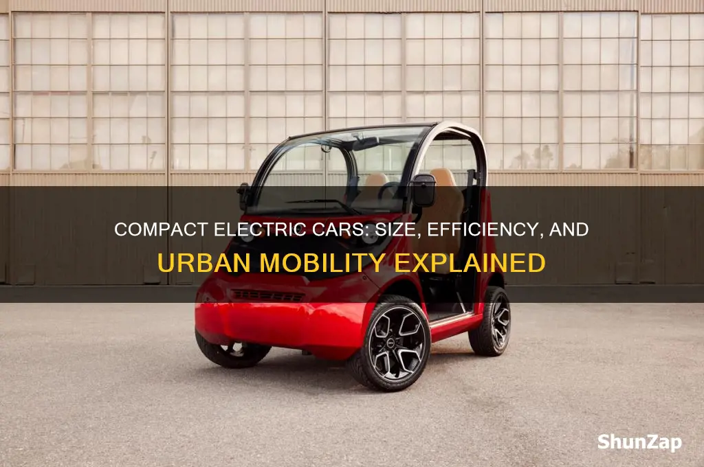 how small are electric cars