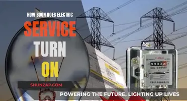 Electric Service: Instant Power Access?