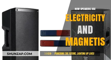 Exploring the Dynamic Duo: Electricity and Magnetism in Speaker Technology