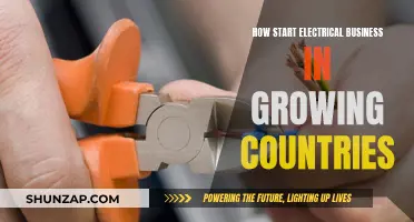 Starting an Electrical Business: Strategies for Growing Markets