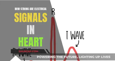 Electrical Signals in the Heart: How Powerful Are They?