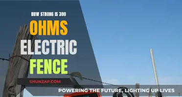 Electric Fencing: 380 Ohms — Strong Enough?