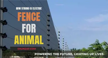 Electric Fences: Shocking Animal Deterrent or Harmless Buzz?