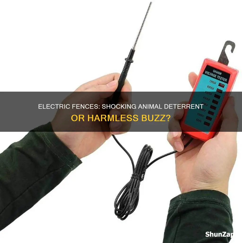 how strong is electric fence for animal