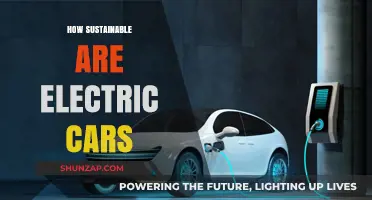 Electric Cars and Sustainability: Uncovering the Environmental Impact and Future
