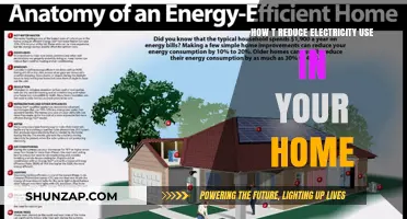 Eco-Friendly Living: Simple Tips to Slash Your Home's Electricity Use
