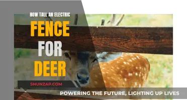 Effective Electric Fence Height to Repel Deer