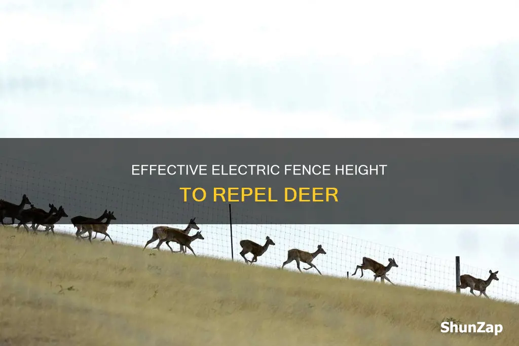 how tall an electric fence for deer