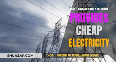 TVA: Providing Affordable Power to Tennessee