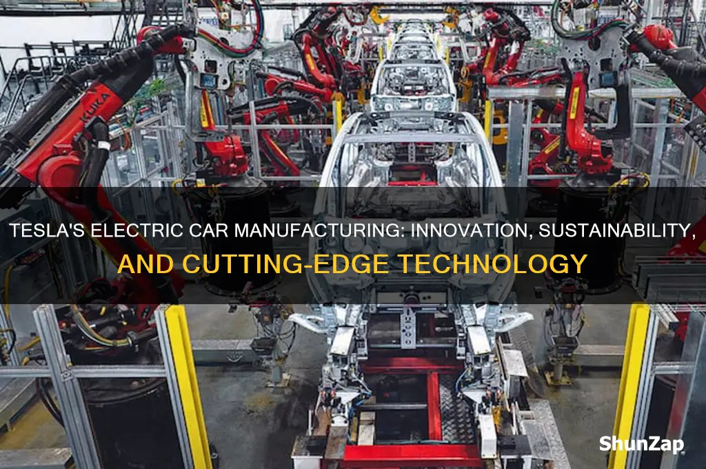 how tesla builds electric cars