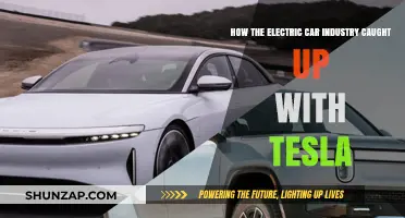 Electric Car Evolution: How Competitors Closed the Gap with Tesla