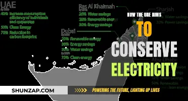 UAE's Vision for Electricity Conservation