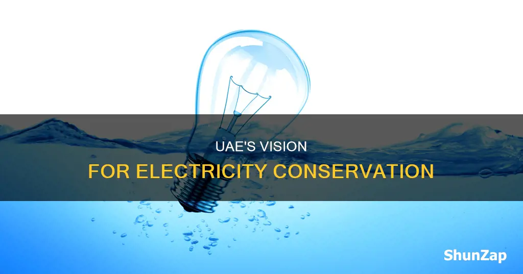 how the uae aims to conserve electricity