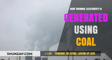 From Coal to Power: The Thermal Electricity Generation Process