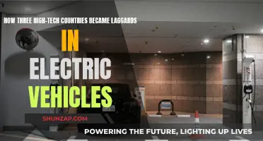 High-Tech Countries: Laggards in the Electric Vehicle Revolution